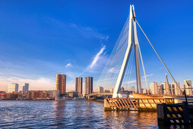 HDR Rotterdam ERasmusbrug by W J Kok