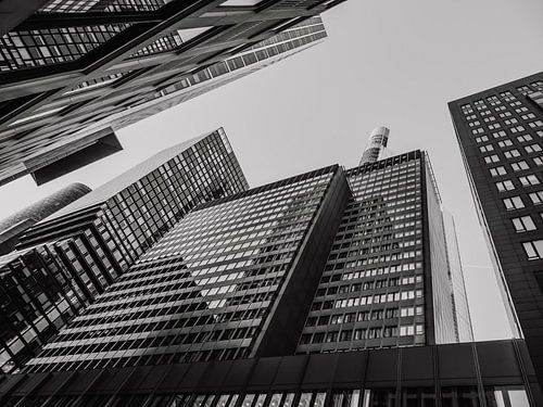 Frankfurt am Main in black and white photography