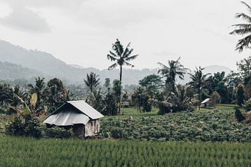 Authentiek tropisch uitzicht in Bali, Indonesië van Troy Wegman