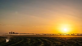 De koeien gaan naar buiten by Sparkle King