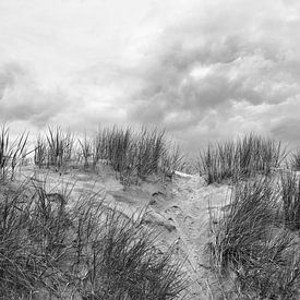 B&W Strandsammlung Karen van de Kerkhove von Karen van de Kerkhove