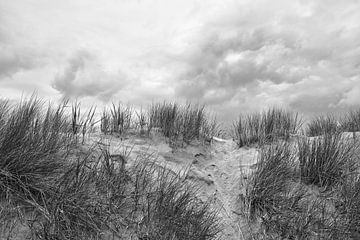 B&W Strandsammlung Karen van de Kerkhove von Karen van de Kerkhove