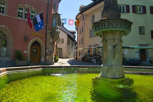Laufenburg am Hochrein in Zwitserland