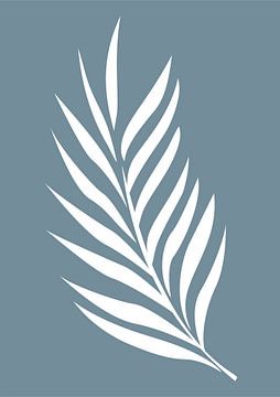 Minimalist Nature & Abstract Illustration Collection