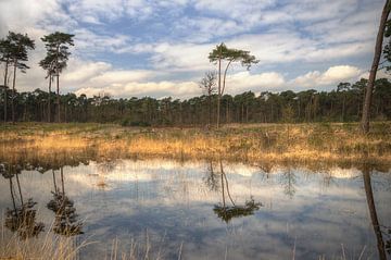 Landschap - Reflect sur Angelique Brunas