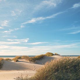 Zachte duinen op het Noordzeestrand in Denemarken van Florian Kunde