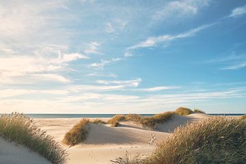 Zachte duinen op het Noordzeestrand in Denemarken van Florian Kunde