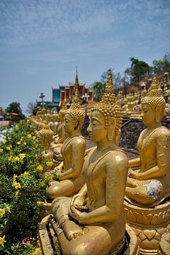 Gouden beelden op een rij bij Wat Phou Salao van Frank Photos