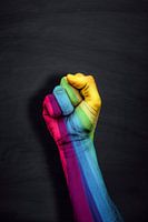 Regenboogvuist