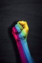 Regenboogvuist van altmodern thumbnail