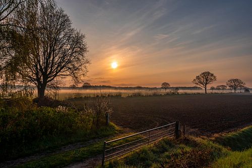 Fog over a meadow just after sunrise
