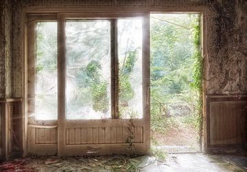 Forest in backlight through sliding doors by Marcel van Balken