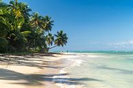 dream beach by Peter Schickert thumbnail