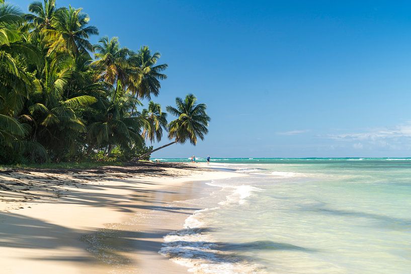 dream beach by Peter Schickert