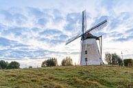 Eine schöne Windmühle aus Brakel von Marcel Derweduwen Miniaturansicht