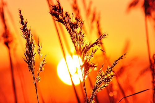 Achterhoekse zonsondergang bij de Oude IJssel
