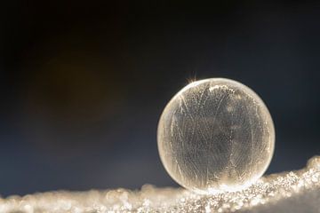 Gefrorene Blase mit Sonnenlicht von Tanja van Beuningen
