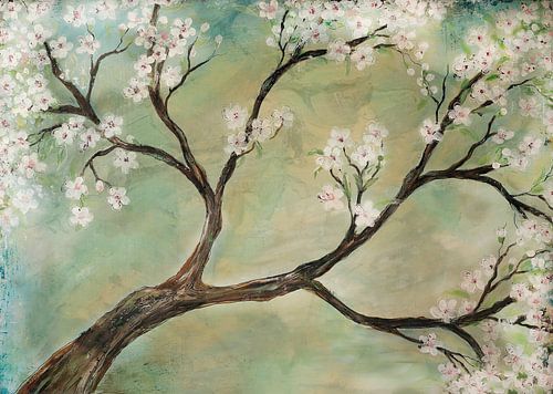 blossoming... ( cherise ) by Els Fonteine