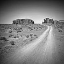 Monument Valley Drive black&white by Melanie Viola thumbnail