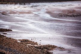 golden coast by natascha verbij