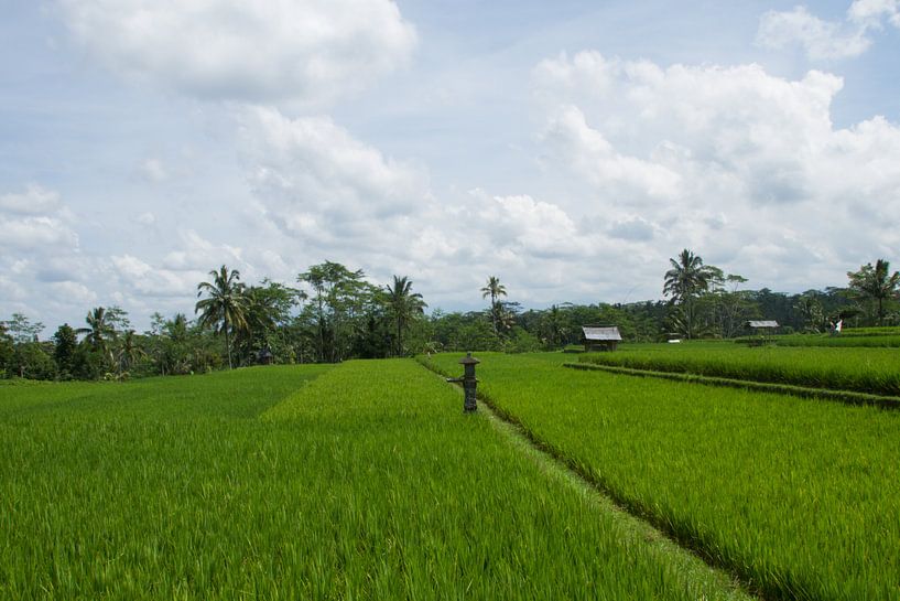 Rijst tempel Bali by Leanne lovink