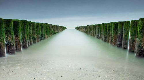 Brise-vent en Zélande