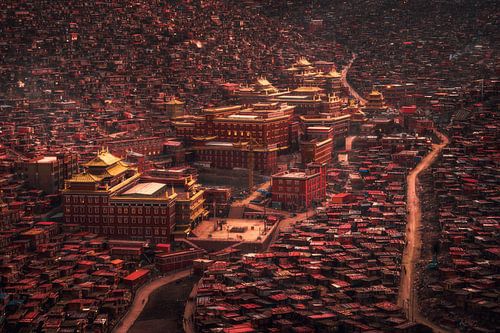 Le domaine du Bouddha