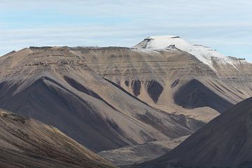 Berrgkam op Spitsbergen van Anouschka Hendriks