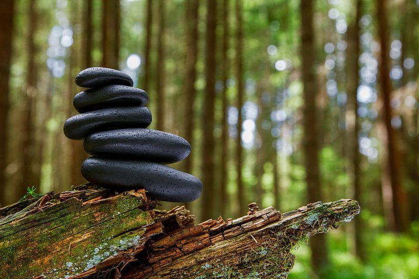 Balance by Jürgen Wiesler