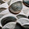 Sea Shells Detail No 5 by treechild .