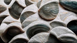 Sea Shells Detail No 5
