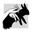 ShadowRabbit van Marja van den Hurk thumbnail