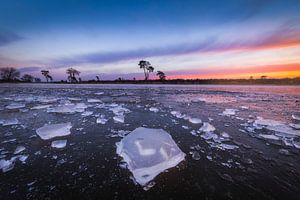 La glace dans les dunes de Loonse et de Drunense