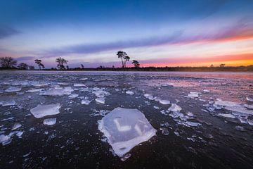 La glace dans les dunes de Loonse et de Drunense sur Zwoele Plaatjes