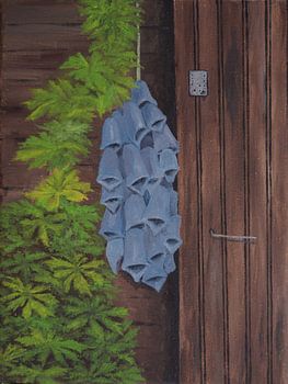 Strauß blauer Blumen neben dem Scheunentor