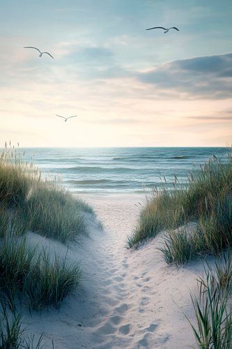 Strandpad naar de zee