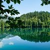 Lago di Tovel, reflectie van Jeroen van Deel