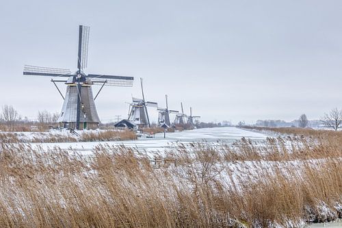 Mills world heritage site Kinderdijk in snow
