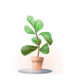 Vrolijke kamerplant van Lieve Aerts