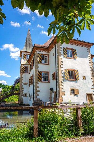 Medieval Schliengen Castle by Photo Art Thomas Klee