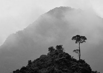 Paysage de montagne Vietnam