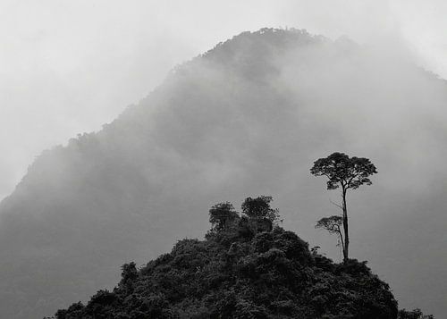 Berglandschap Vietnam