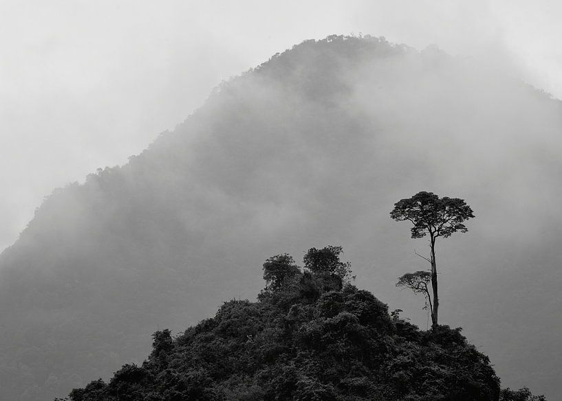 Mountain landscape Vietnam by Bennie Krajenbrink