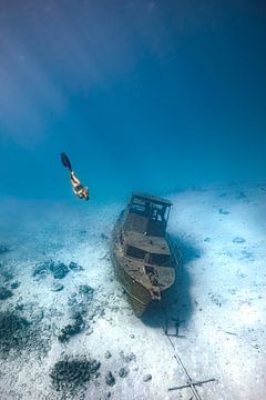 Free diving in Aruba
