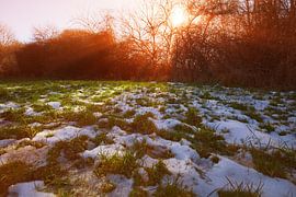 Soleil d'hiver