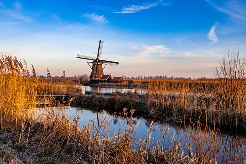 Typical dutch winter scene with a windmill in the polder