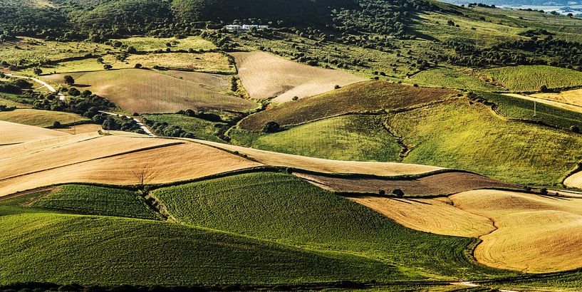 Landschap Andalucié nabij Vejer par Harrie Muis