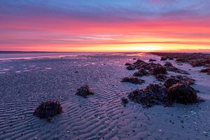 Farbenfroher Sonnenaufgang - Natürliches Ameland von Anja Brouwer Fotografie