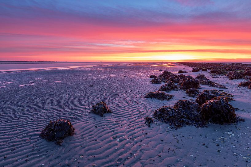 Kleurige zonsopkomst - Natuurlijk Ameland van Anja Brouwer Fotografie