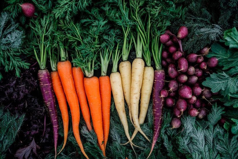 Bunte Karotten Vielfalt von Poster Art Shop